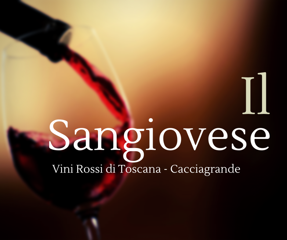Vini Rossi di Toscana: le caratteristiche del Sangiovese, una delle varietà più note al mondo