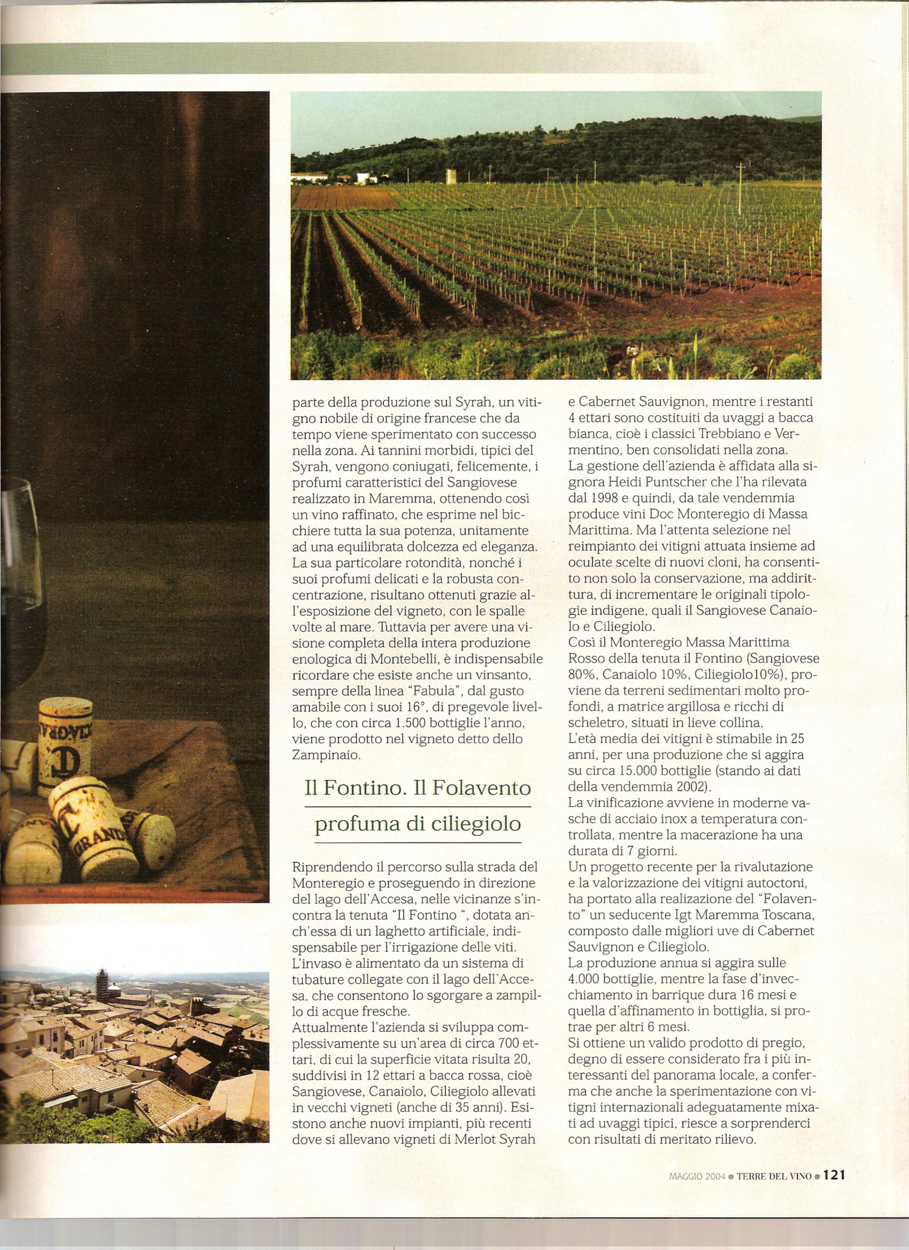 Terre del Vino 2004 - Azienda Vinicola Toscana Cacciagrande - Segnalazioni per gli enonauti che dalla costa maremmana vogliano spingersi verso l'interno alla ricerca di vini nuovi e particolari.